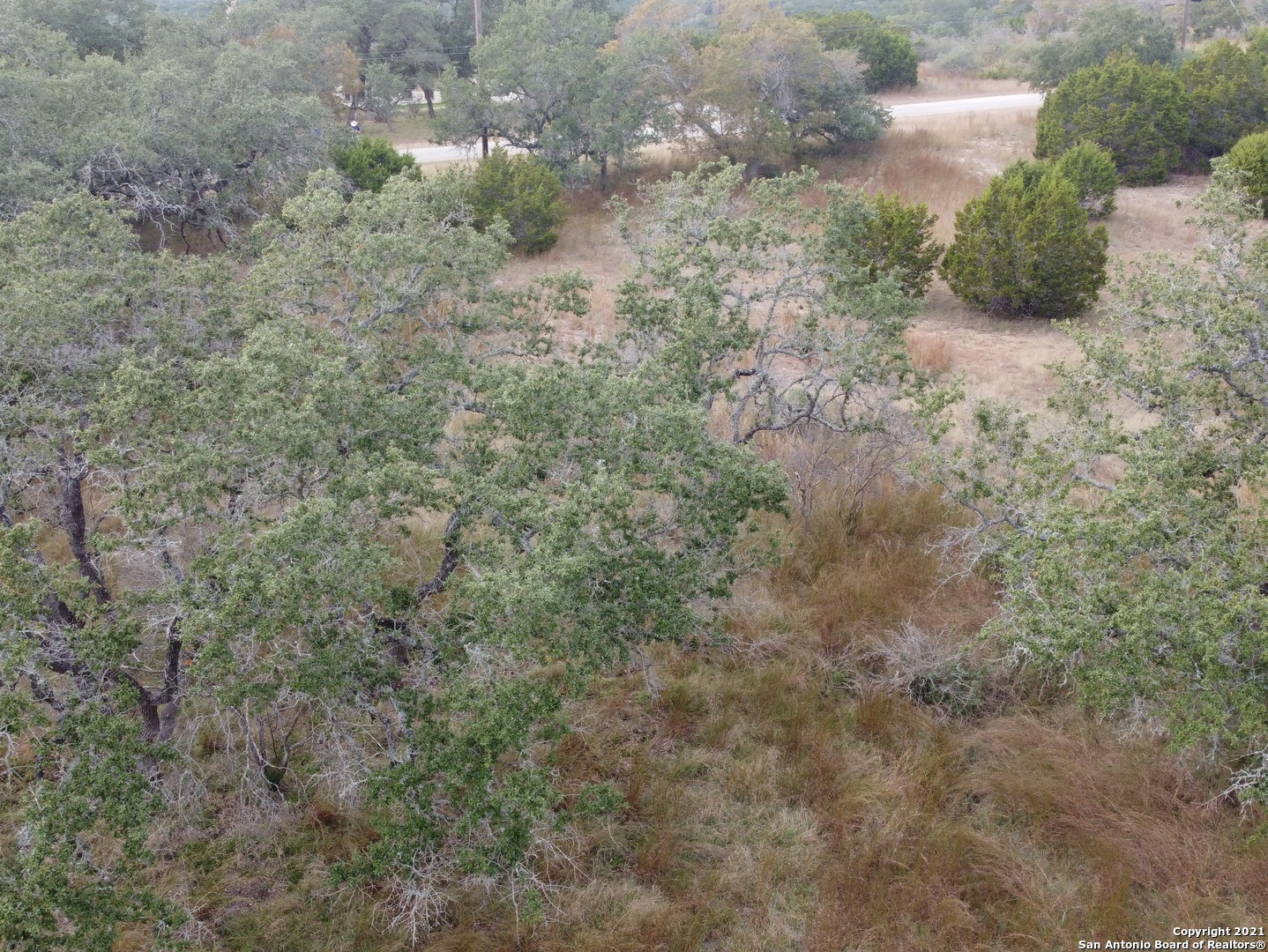 558 Mystic Breeze Spring Branch, TX 78070 - Photo 9 of 11 a close up of a plants