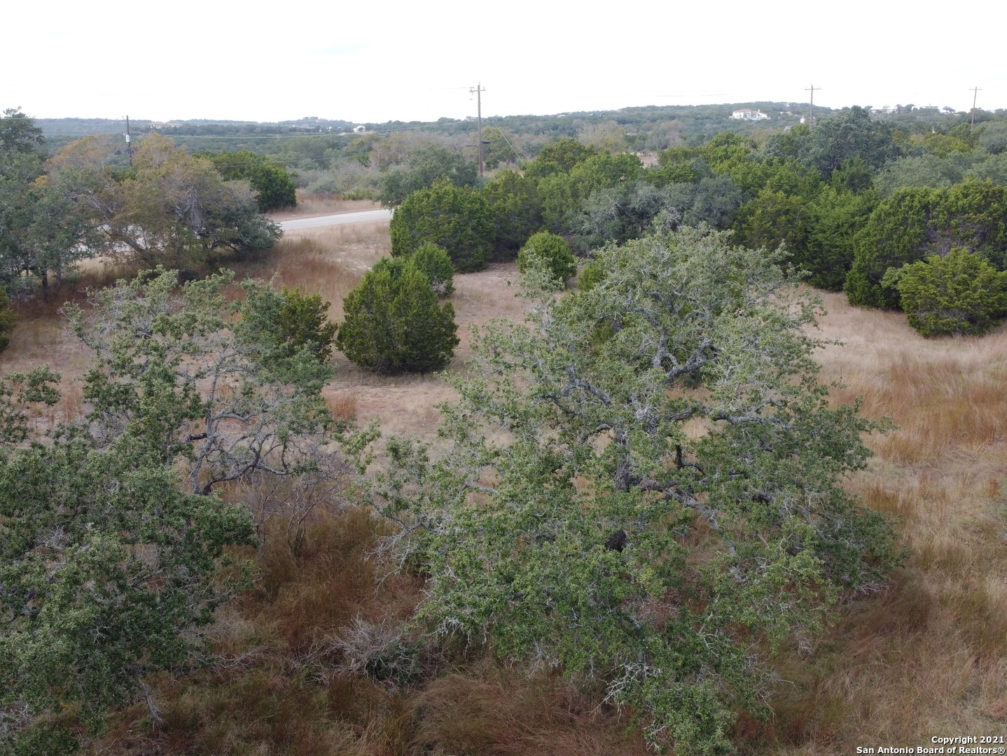 558 Mystic Breeze Spring Branch, TX 78070 - Photo 10 of 11 a view of a forest with a street