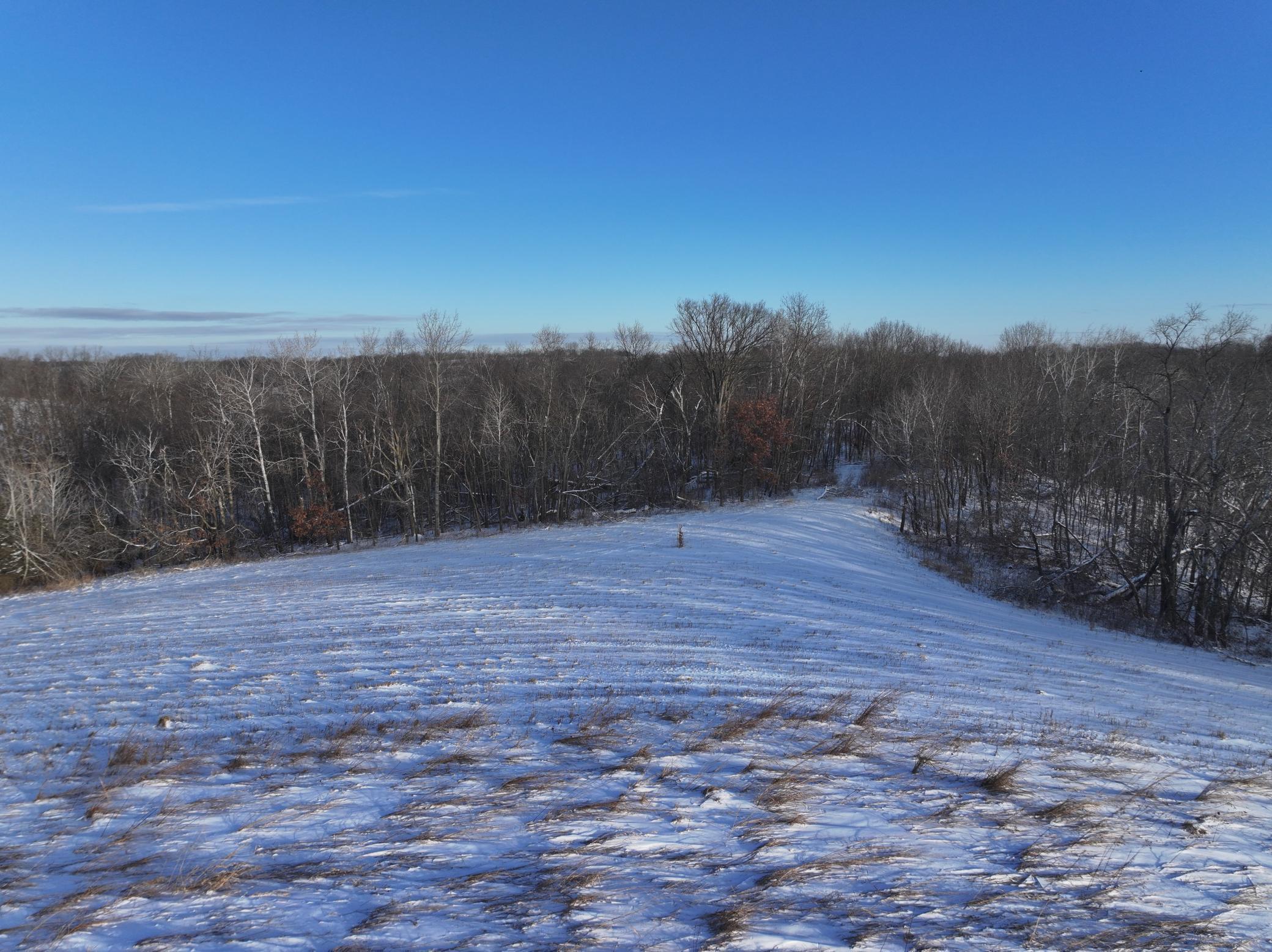 Tbd Tbd Sayles Road Spring Grove, MN 55974 - Photo 16 of 43