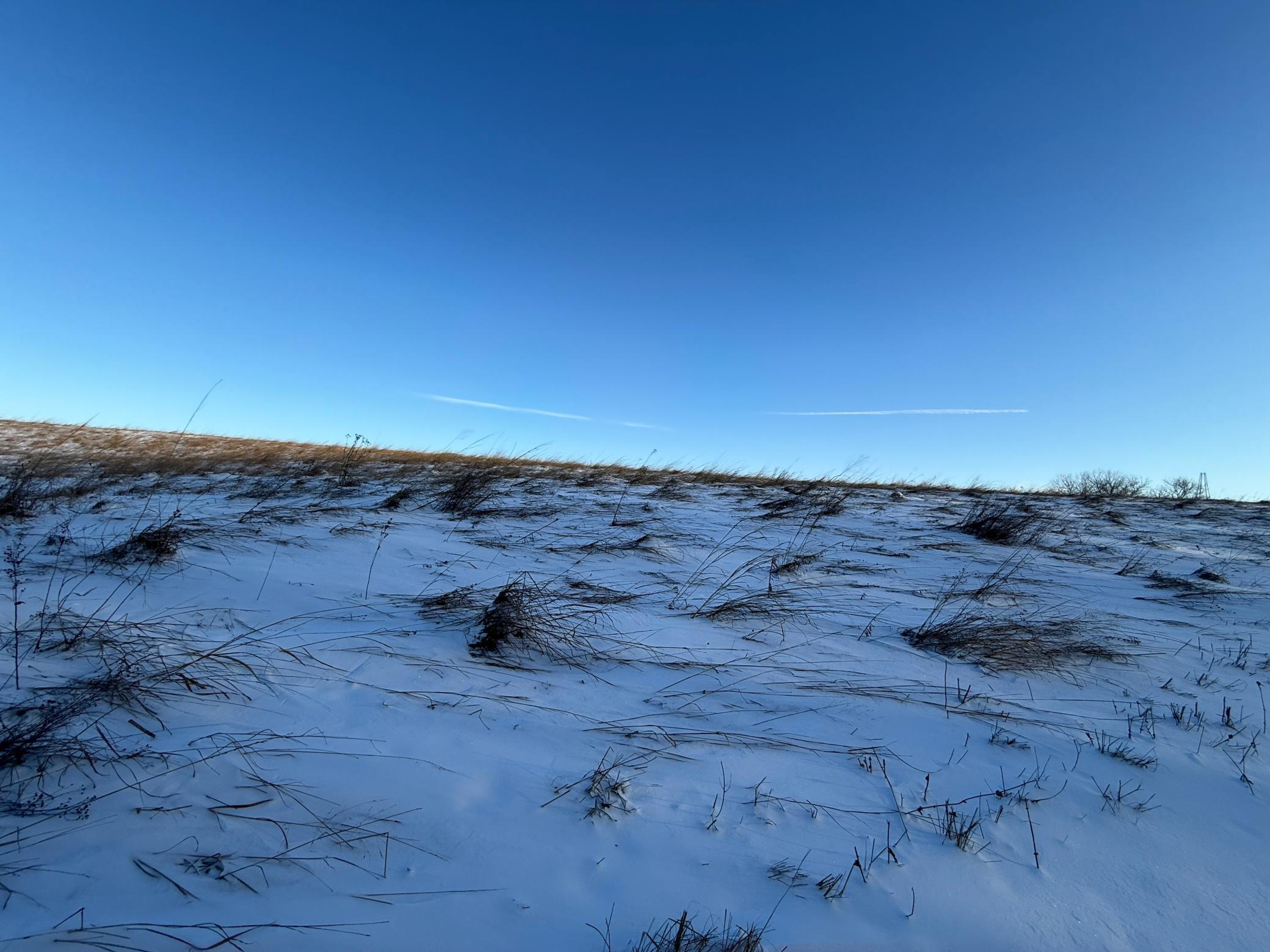 Tbd Tbd Sayles Road Spring Grove, MN 55974 - Photo 20 of 43