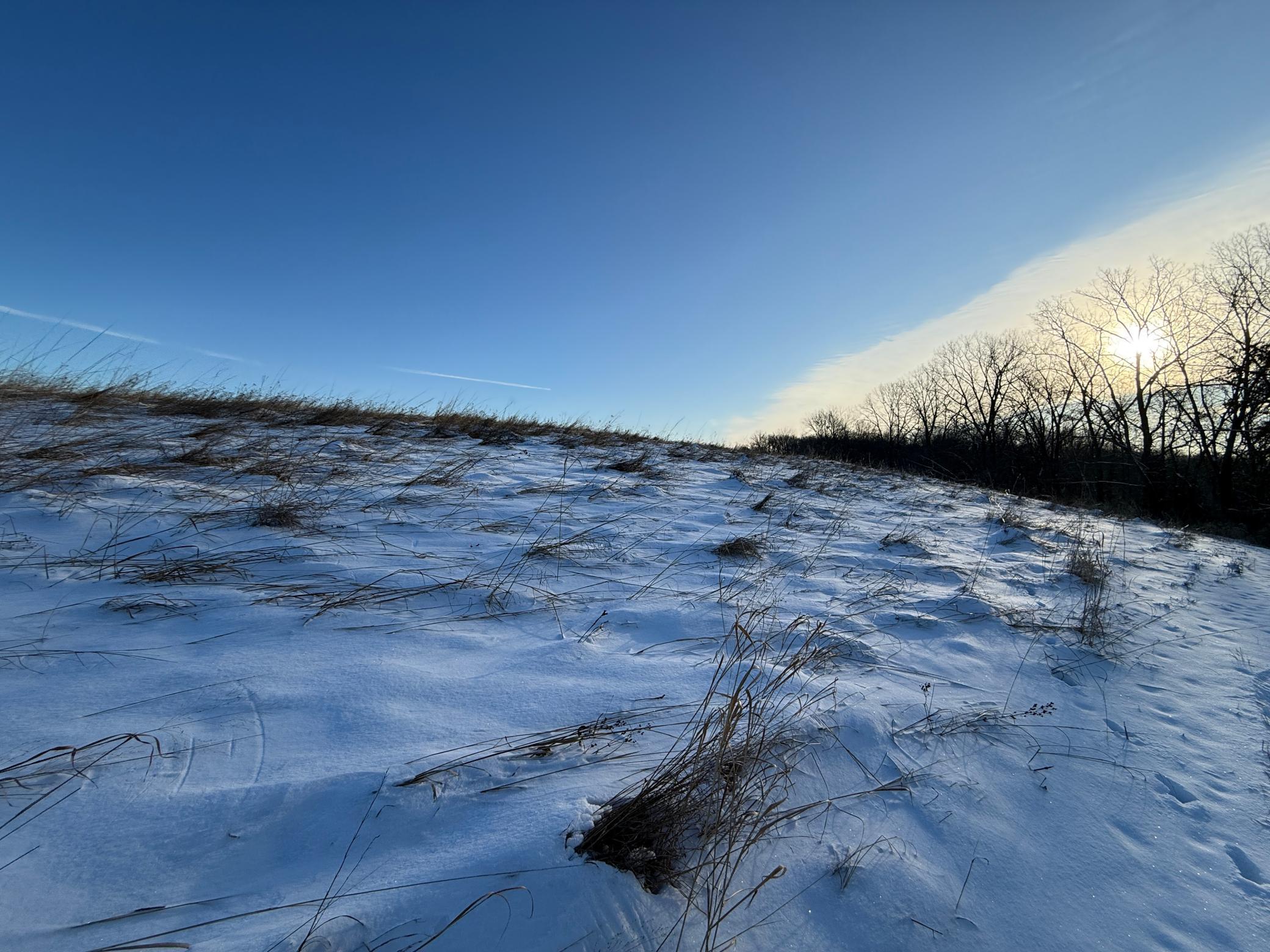 Tbd Tbd Sayles Road Spring Grove, MN 55974 - Photo 21 of 43