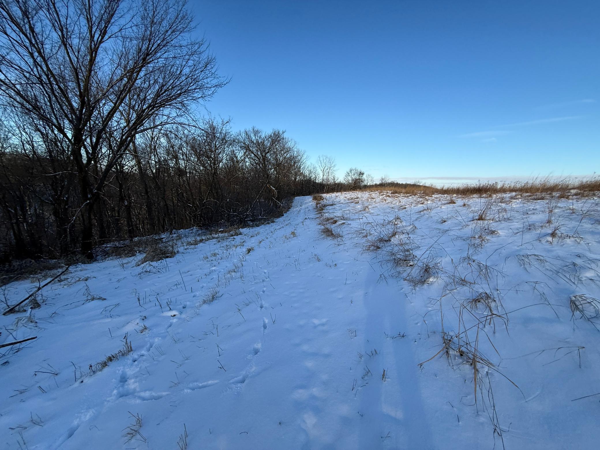 Tbd Tbd Sayles Road Spring Grove, MN 55974 - Photo 22 of 43