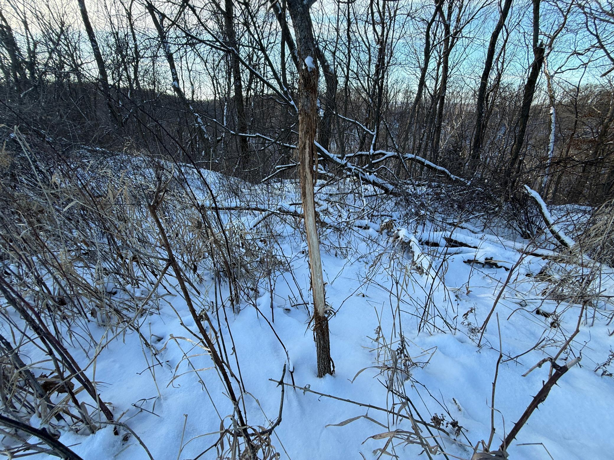 Tbd Tbd Sayles Road Spring Grove, MN 55974 - Photo 23 of 43