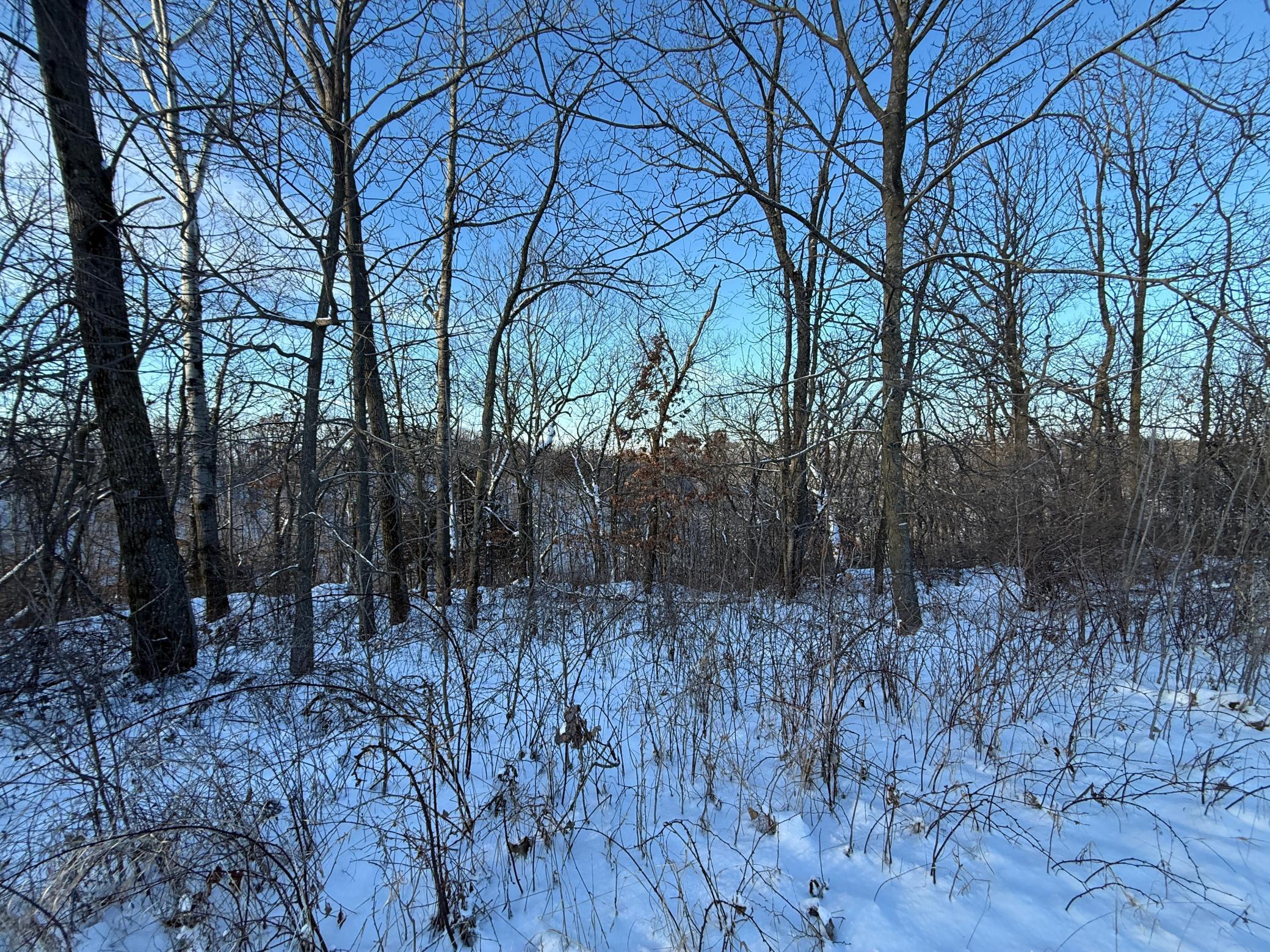 Tbd Tbd Sayles Road Spring Grove, MN 55974 - Photo 24 of 43