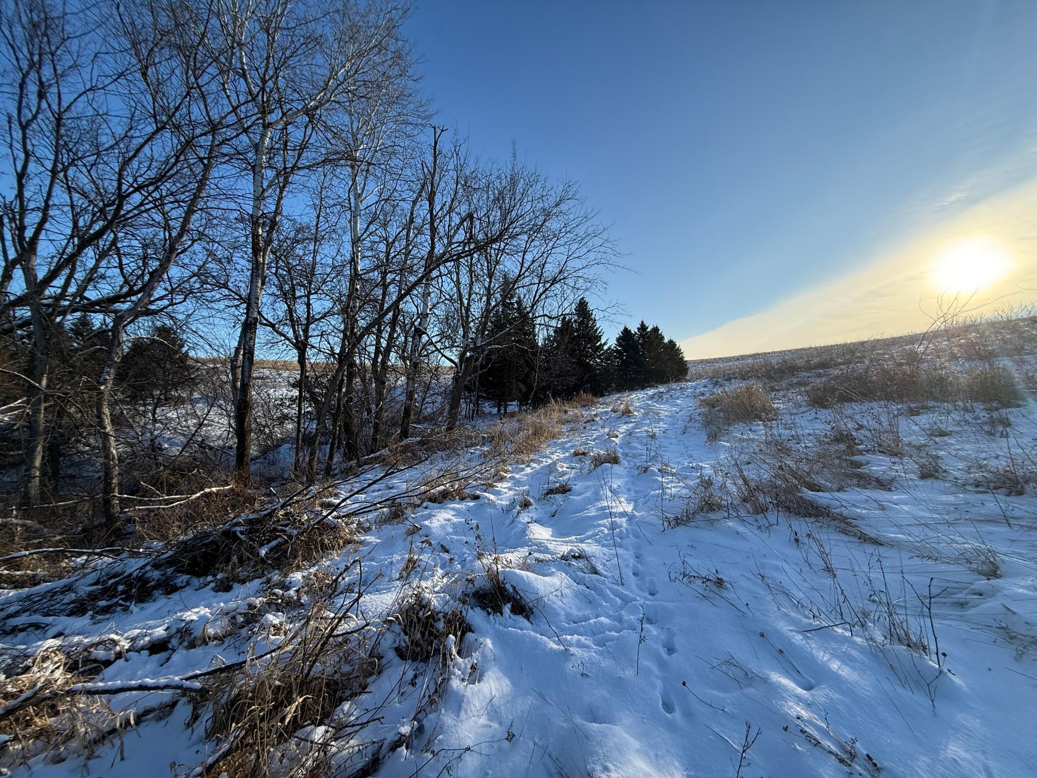 Tbd Tbd Sayles Road Spring Grove, MN 55974 - Photo 27 of 43
