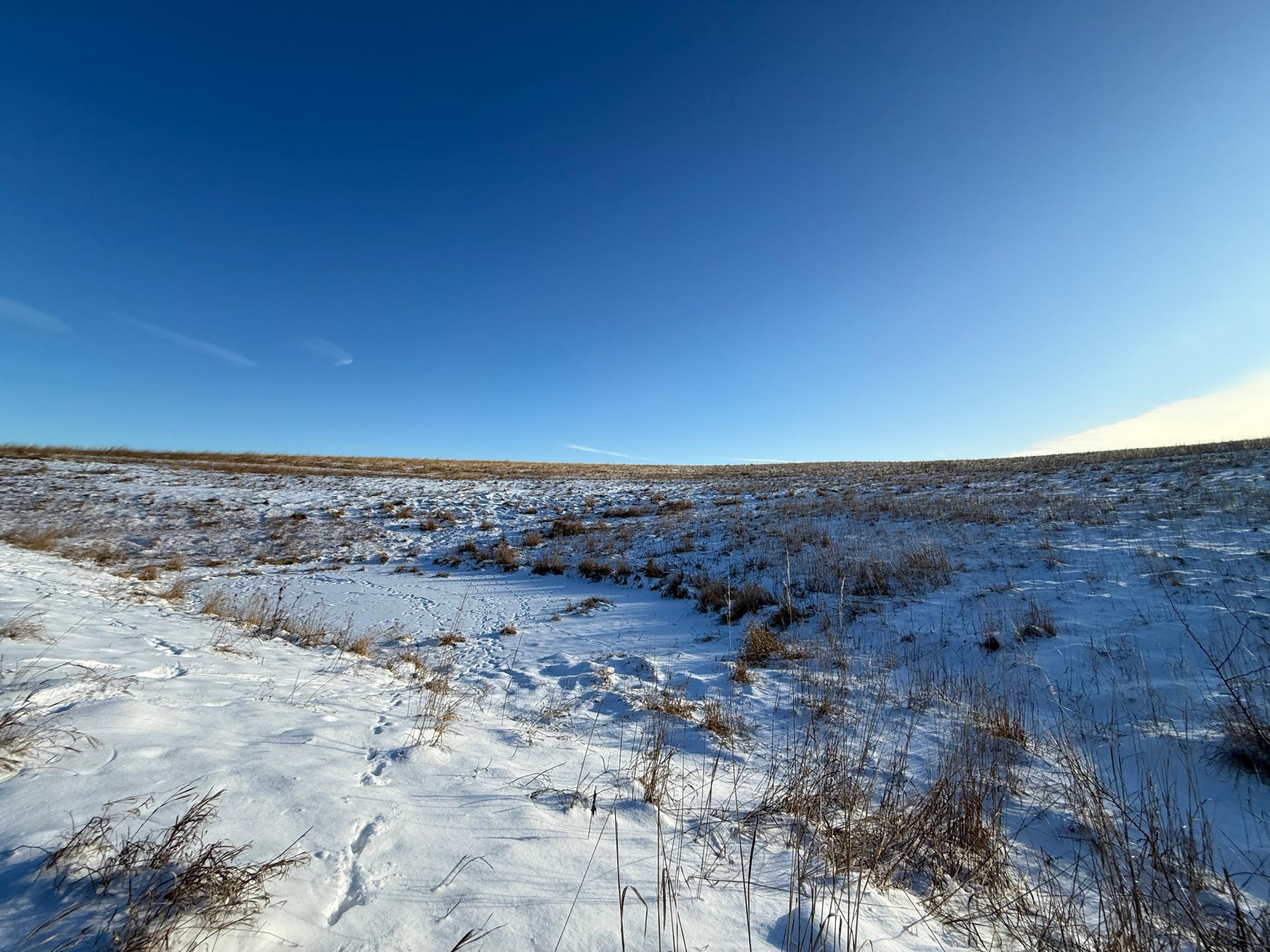 Tbd Tbd Sayles Road Spring Grove, MN 55974 - Photo 28 of 43