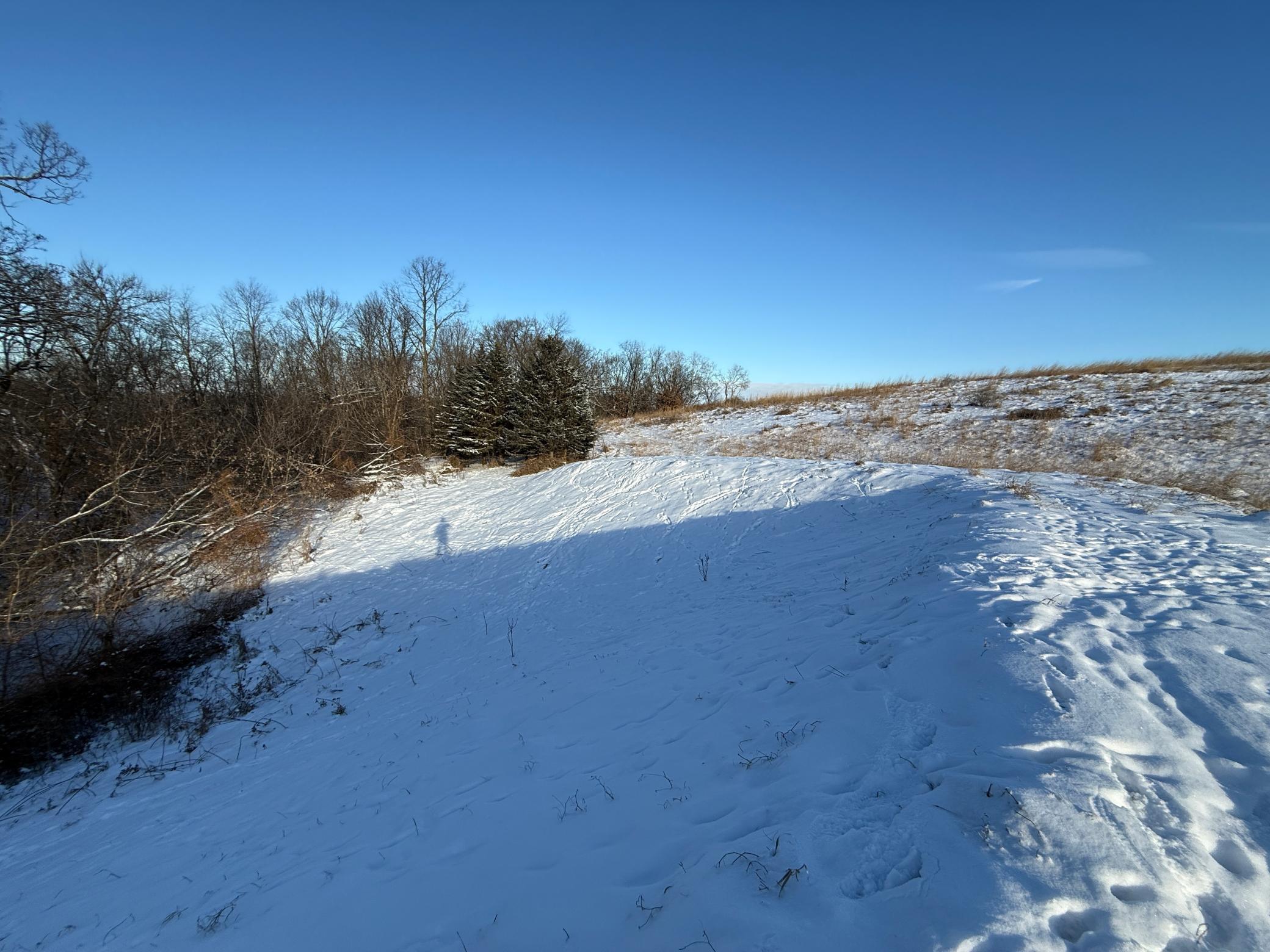 Tbd Tbd Sayles Road Spring Grove, MN 55974 - Photo 29 of 43