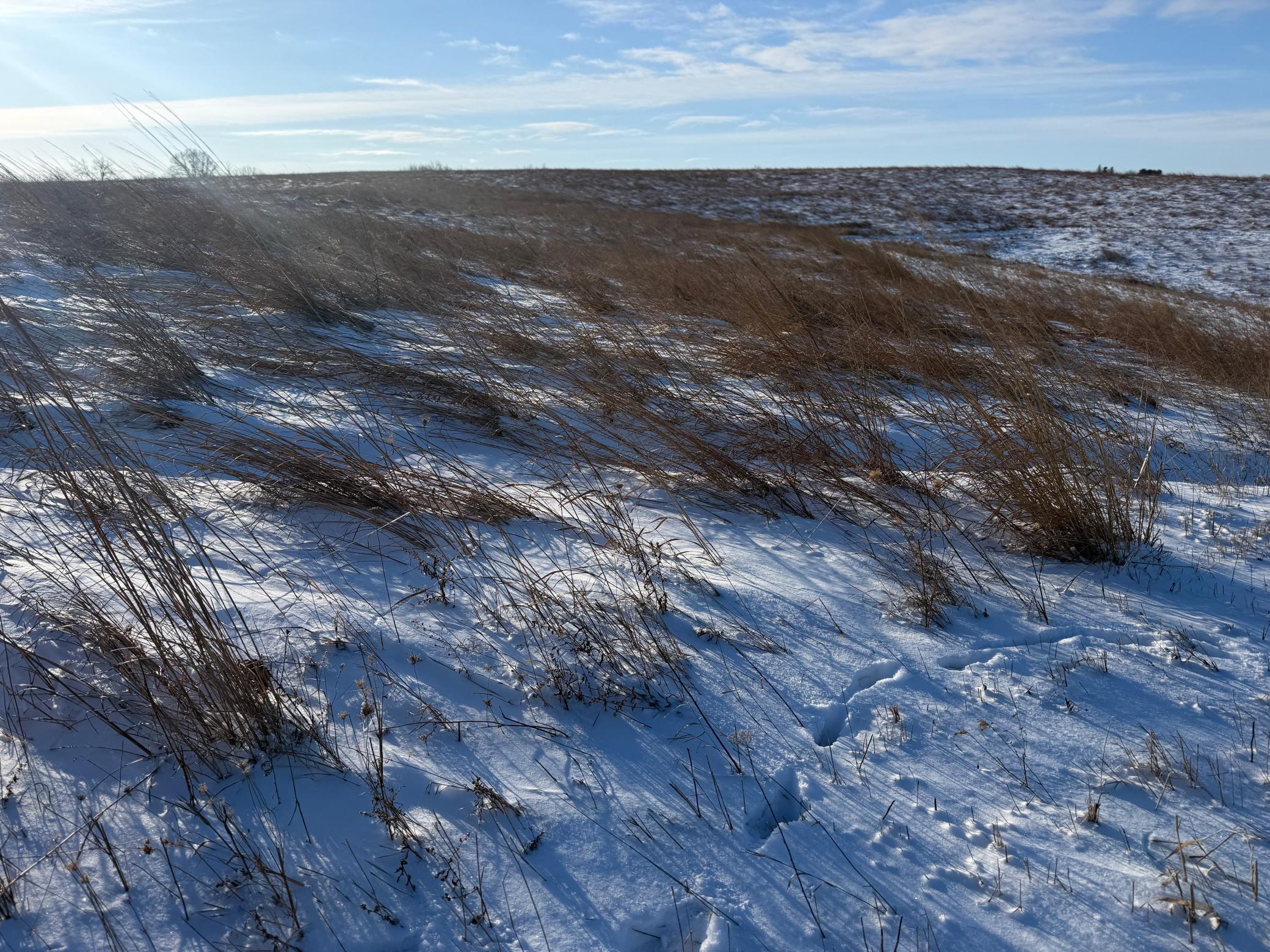 Tbd Tbd Sayles Road Spring Grove, MN 55974 - Photo 30 of 43