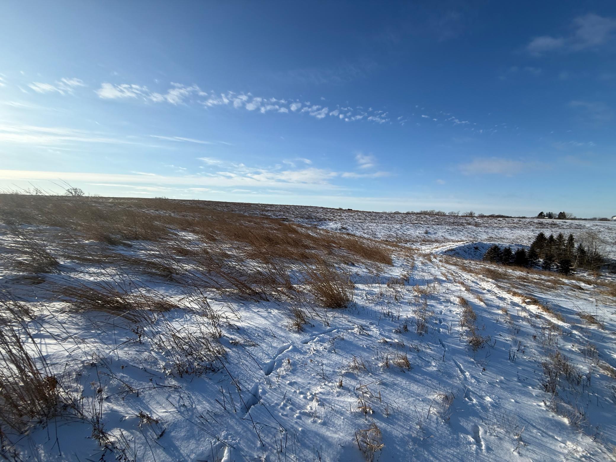 Tbd Tbd Sayles Road Spring Grove, MN 55974 - Photo 32 of 43
