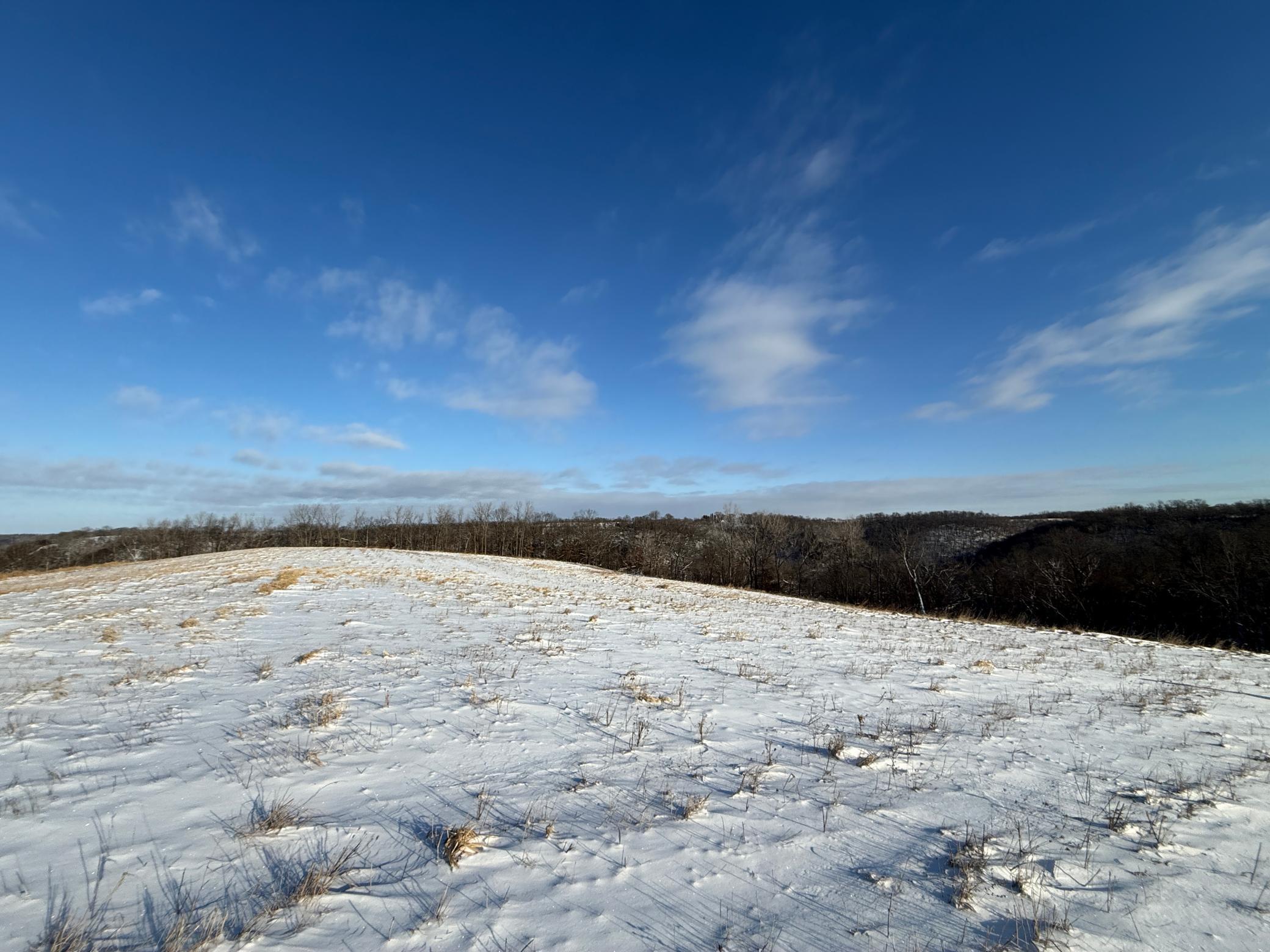 Tbd Tbd Sayles Road Spring Grove, MN 55974 - Photo 33 of 43