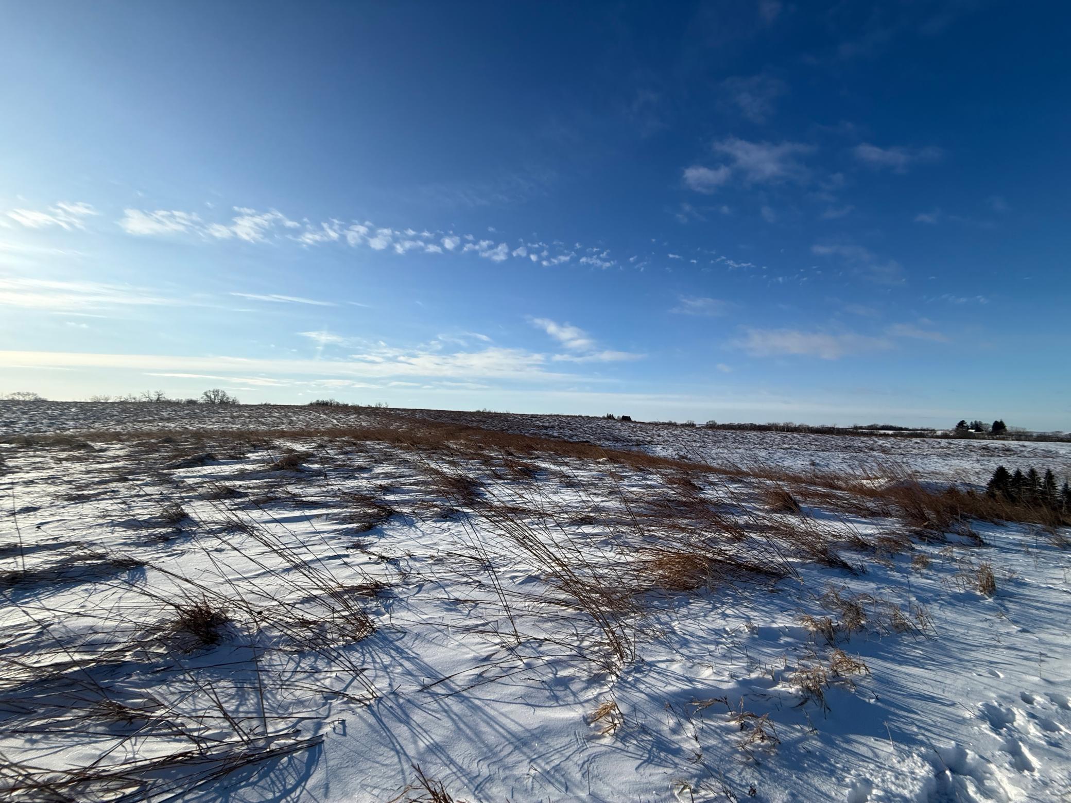 Tbd Tbd Sayles Road Spring Grove, MN 55974 - Photo 34 of 43