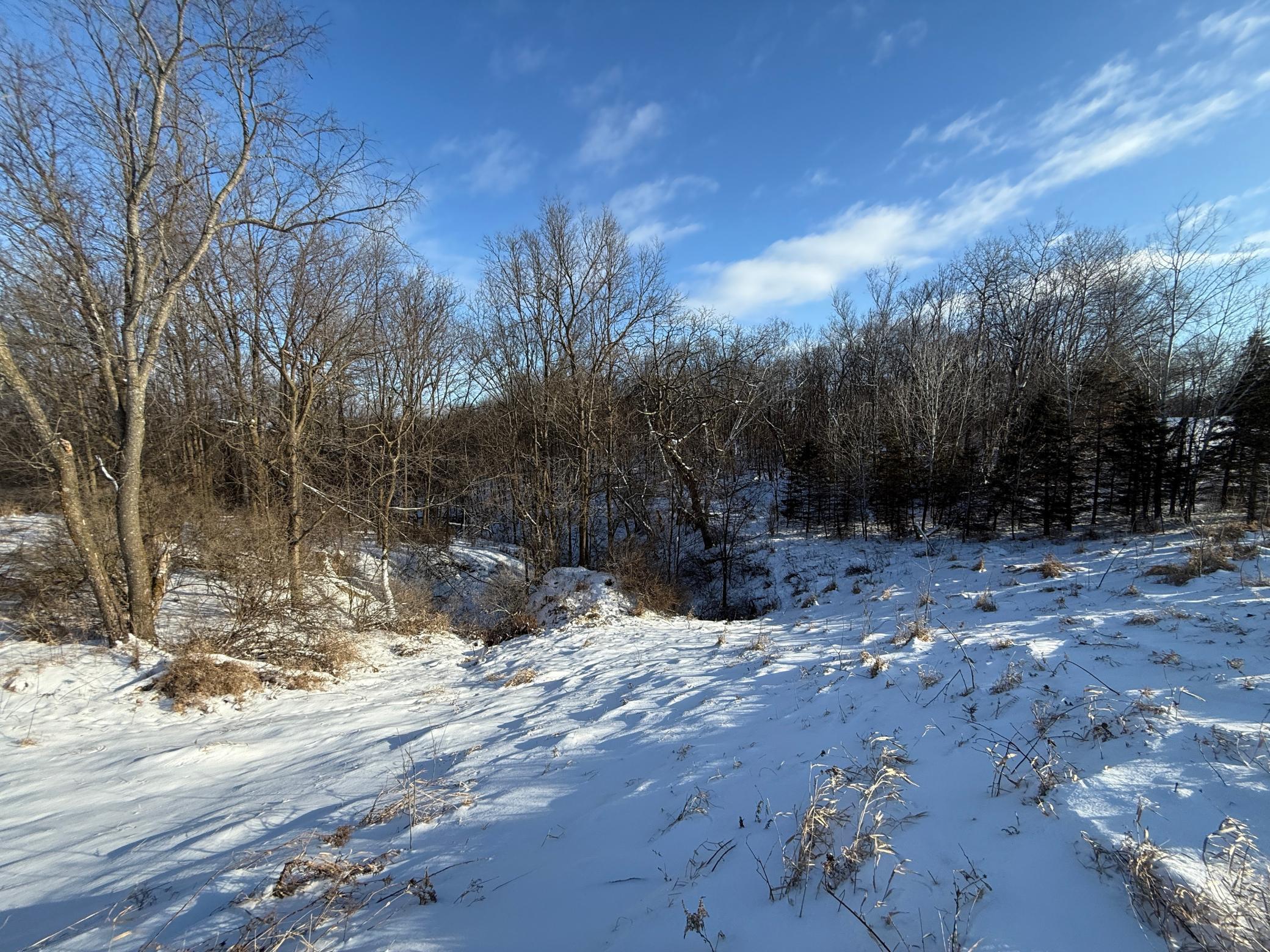 Tbd Tbd Sayles Road Spring Grove, MN 55974 - Photo 35 of 43