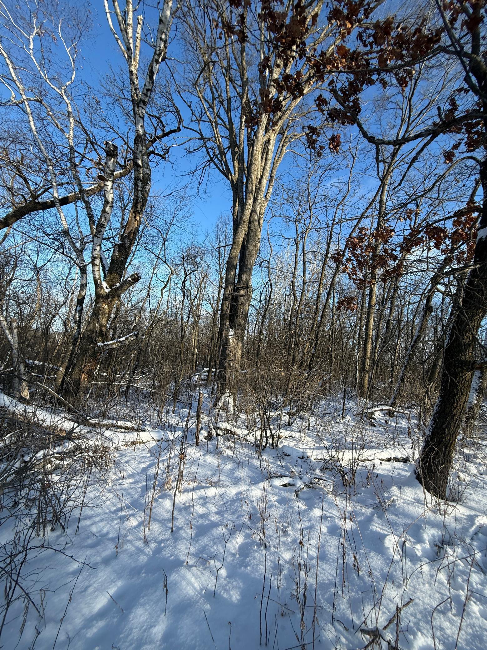 Tbd Tbd Sayles Road Spring Grove, MN 55974 - Photo 37 of 43