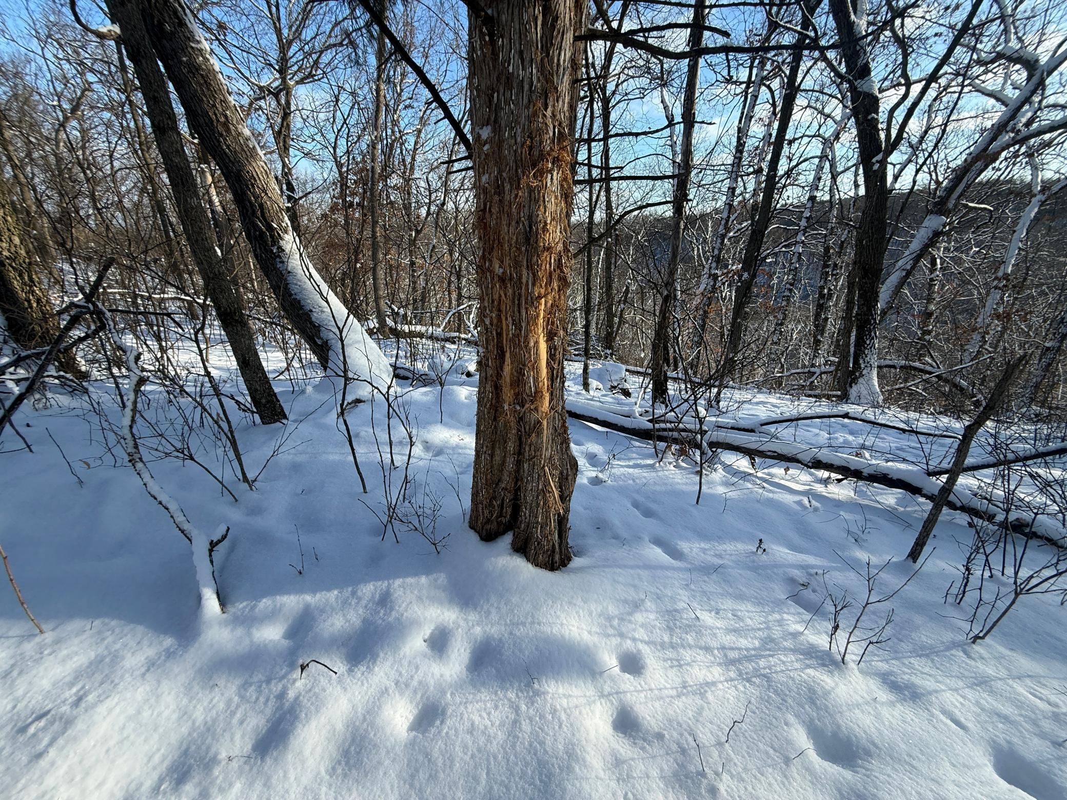 Tbd Tbd Sayles Road Spring Grove, MN 55974 - Photo 38 of 43