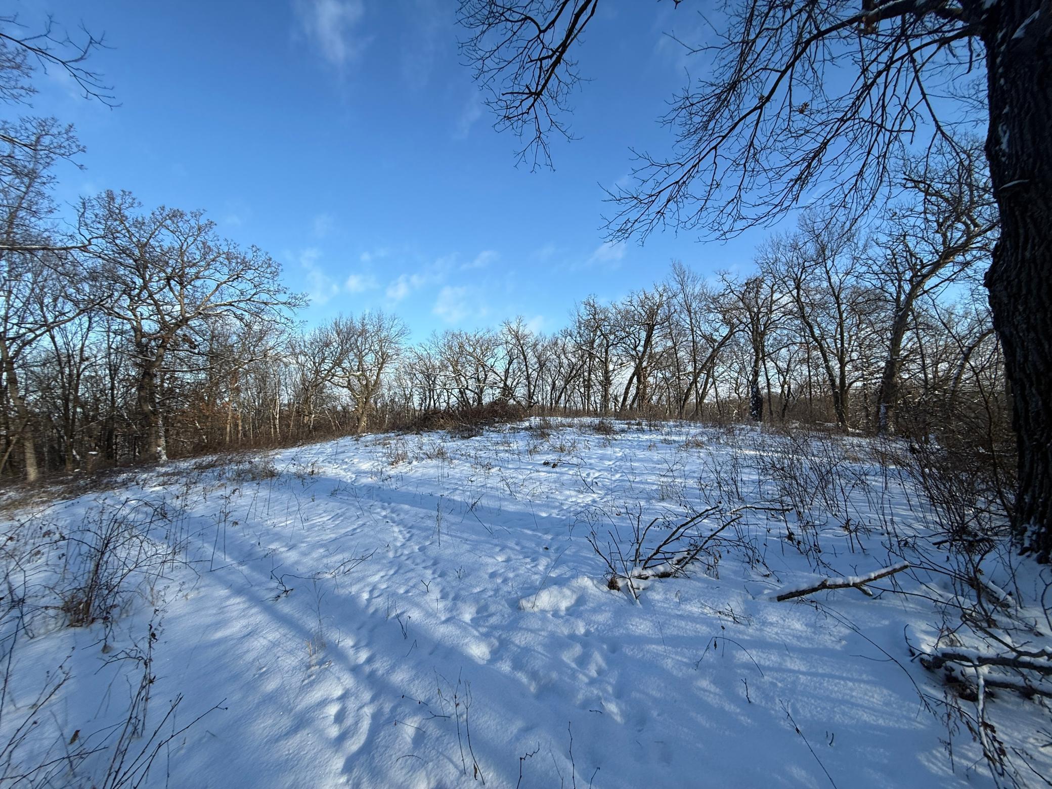 Tbd Tbd Sayles Road Spring Grove, MN 55974 - Photo 39 of 43