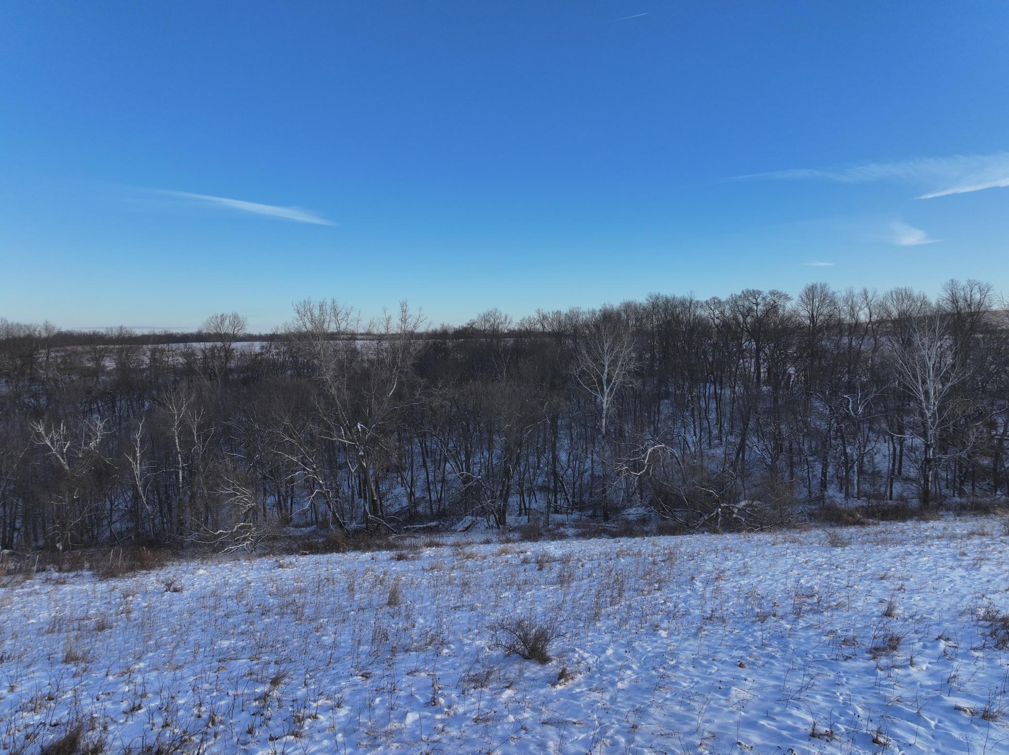 Tbd Tbd Sayles Road Spring Grove, MN 55974 - Photo 4 of 43