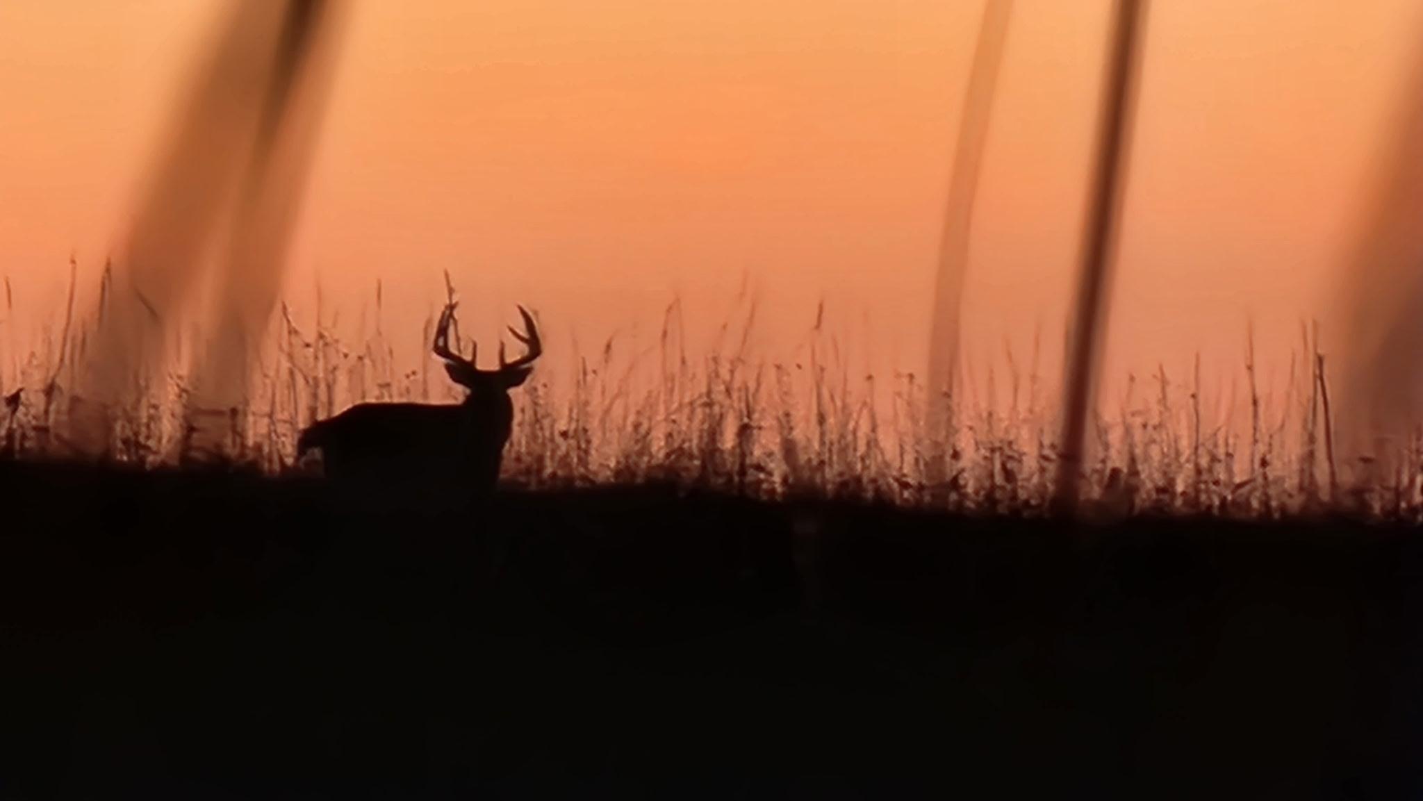 Tbd Tbd Sayles Road Spring Grove, MN 55974 - Photo 41 of 43