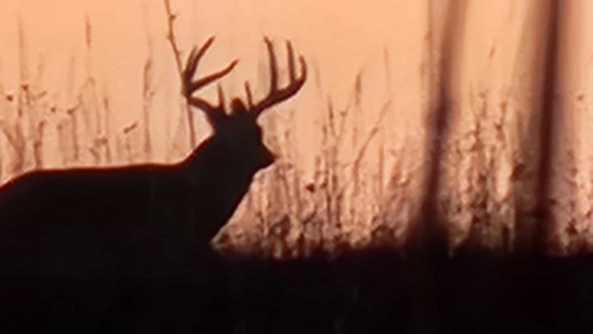 Tbd Tbd Sayles Road Spring Grove, MN 55974 - Photo 42 of 43