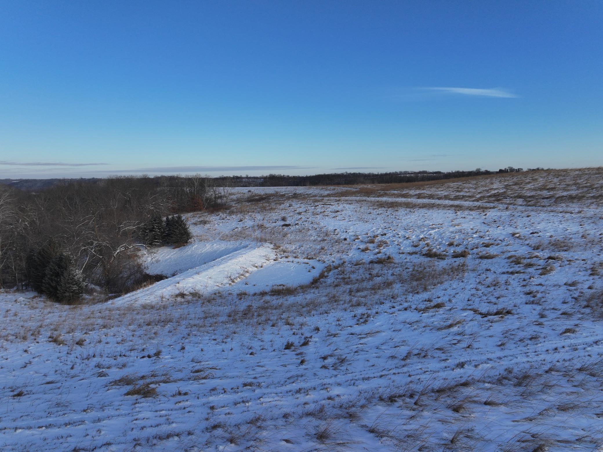 Tbd Tbd Sayles Road Spring Grove, MN 55974 - Photo 6 of 43