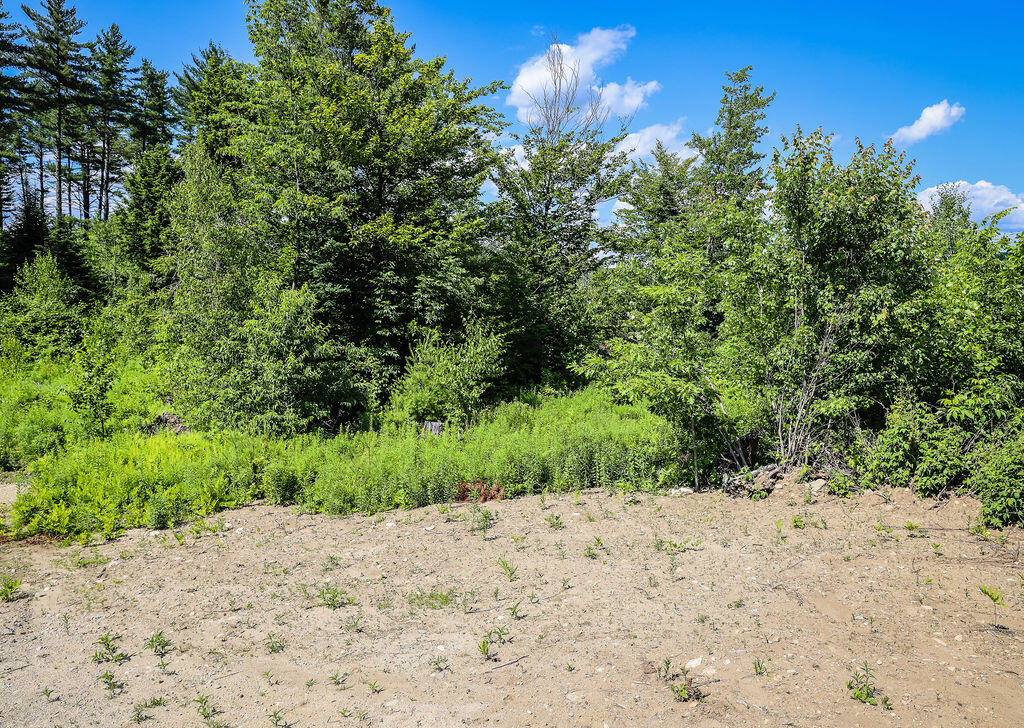 16 Ryerson Hill Road Paris, ME 04281 - Photo 15 of 58 0Q5A2985