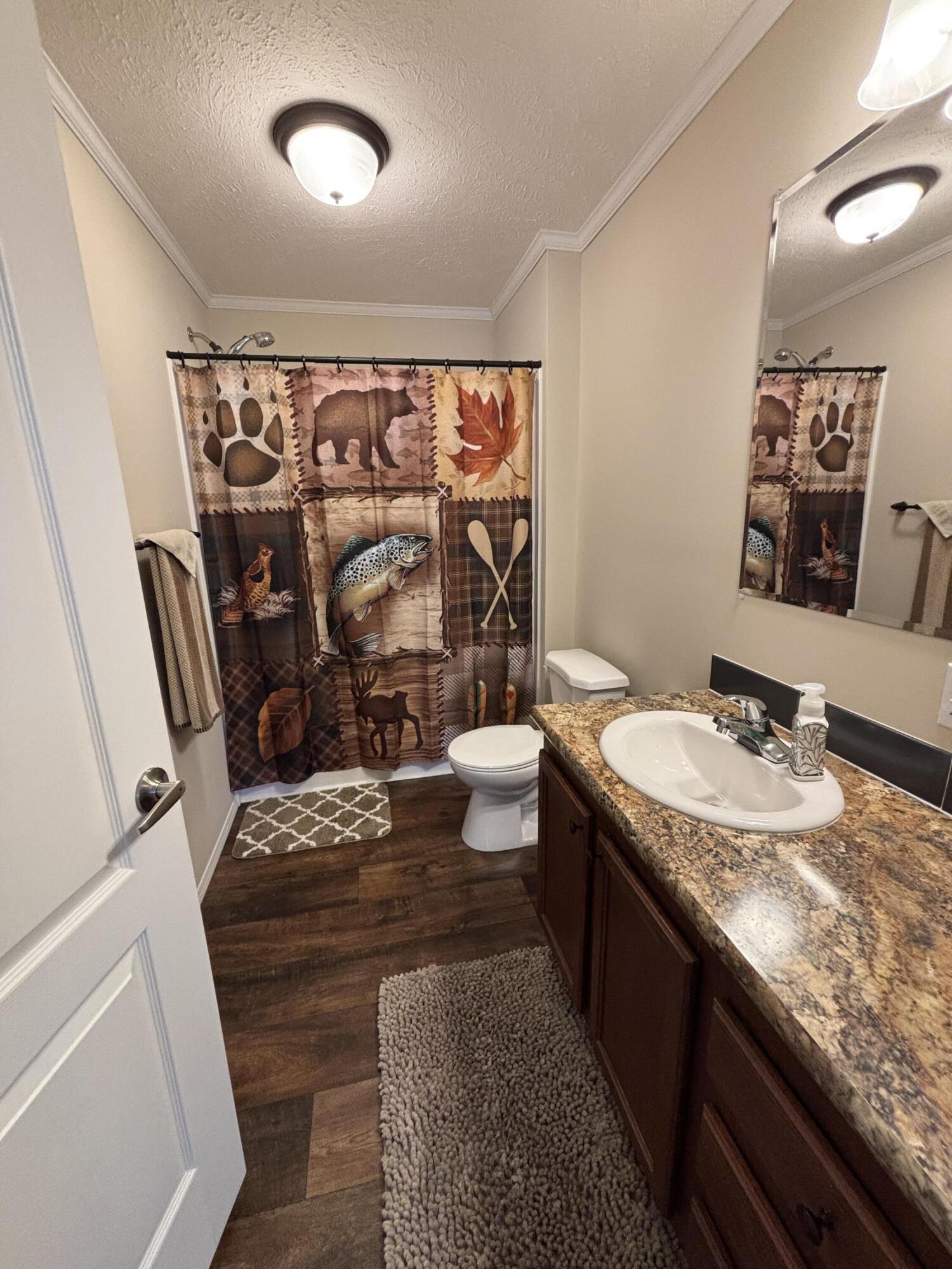 3114 South James Road Baldwin, MI 49304 - Photo 18 of 33 Guest full bath