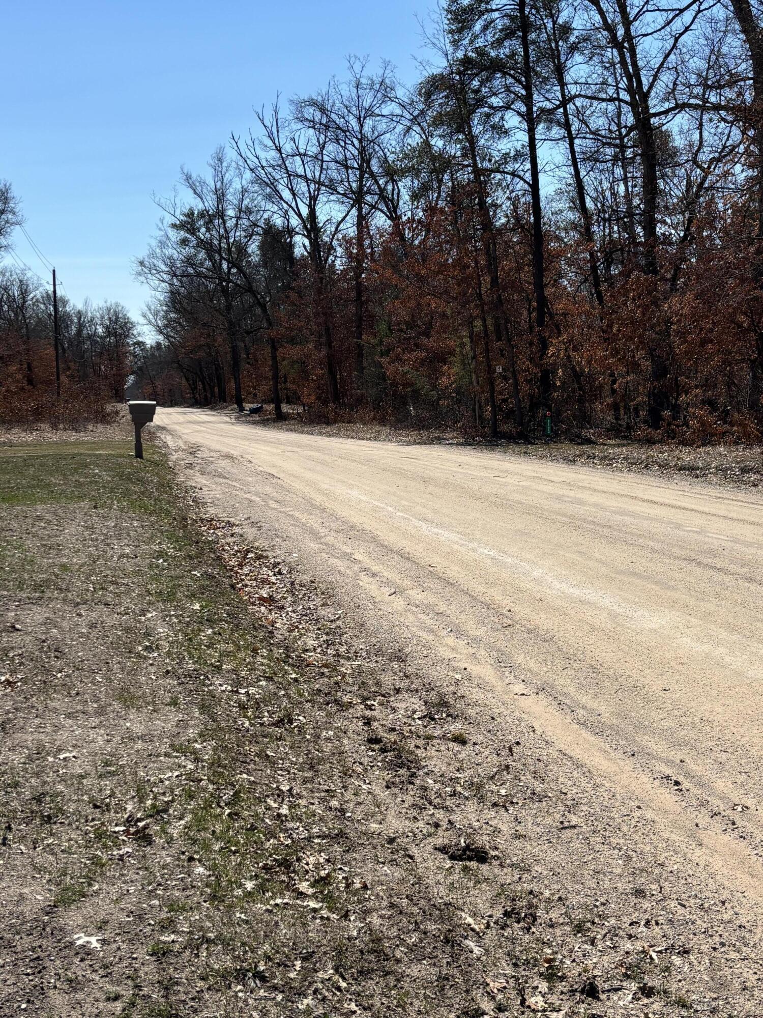 3114 South James Road Baldwin, MI 49304 - Photo 26 of 33 road