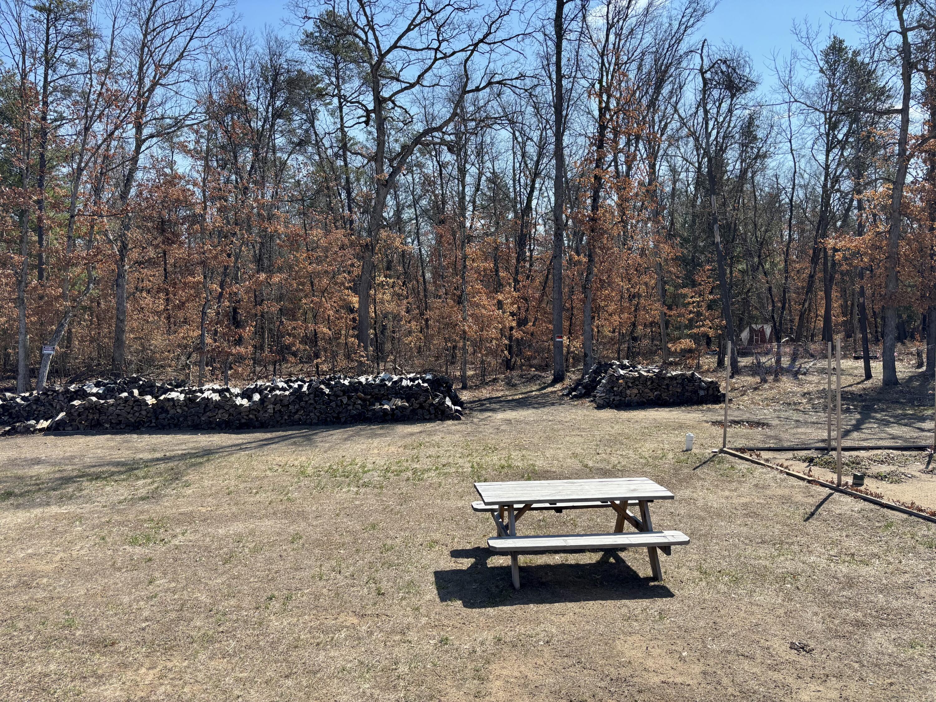 3114 South James Road Baldwin, MI 49304 - Photo 31 of 33 Back yard