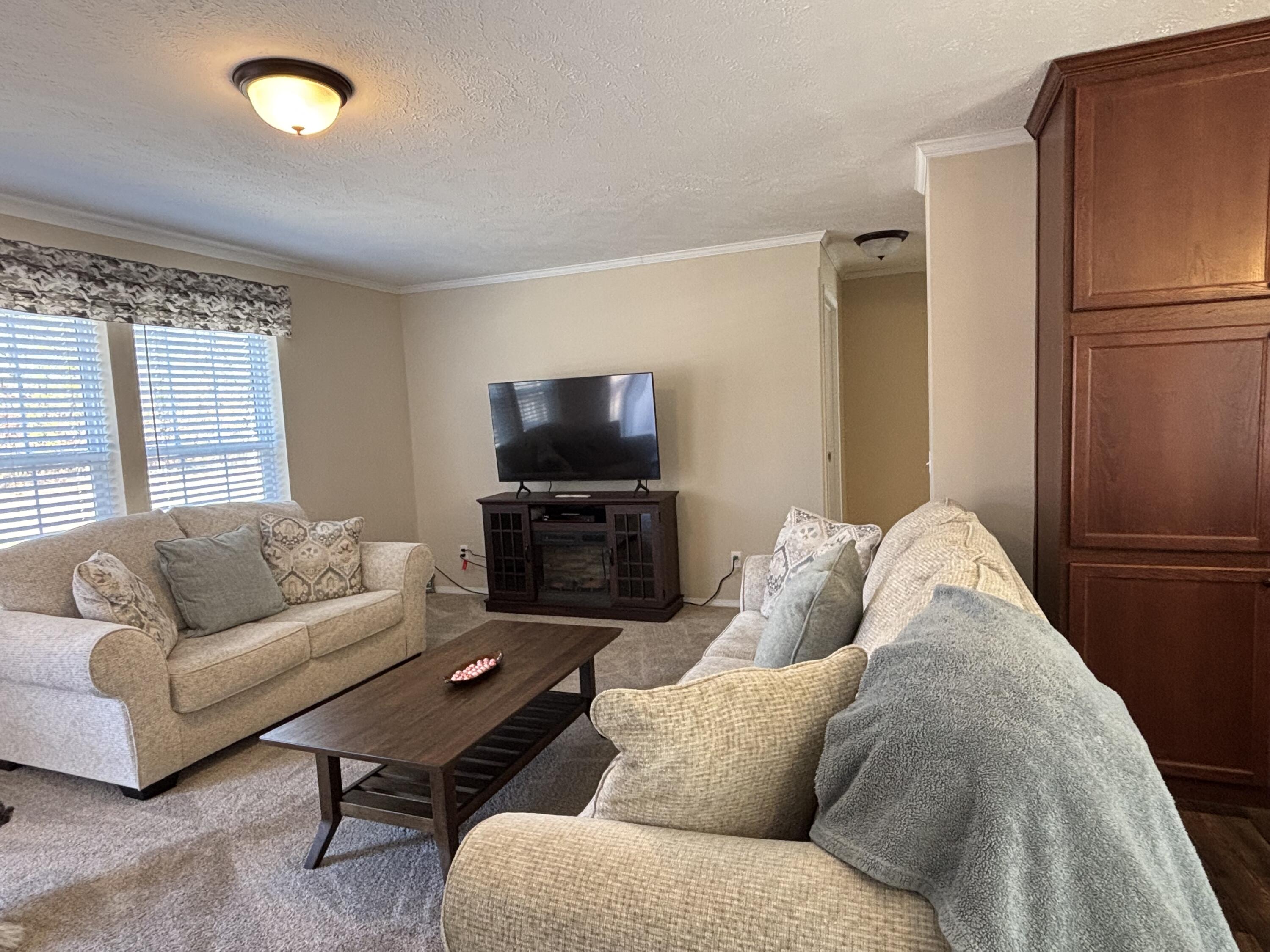 3114 South James Road Baldwin, MI 49304 - Photo 6 of 33 Livingroom