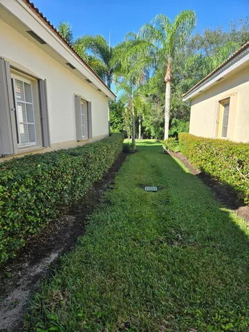 a view of backyard with potted plants and large tree