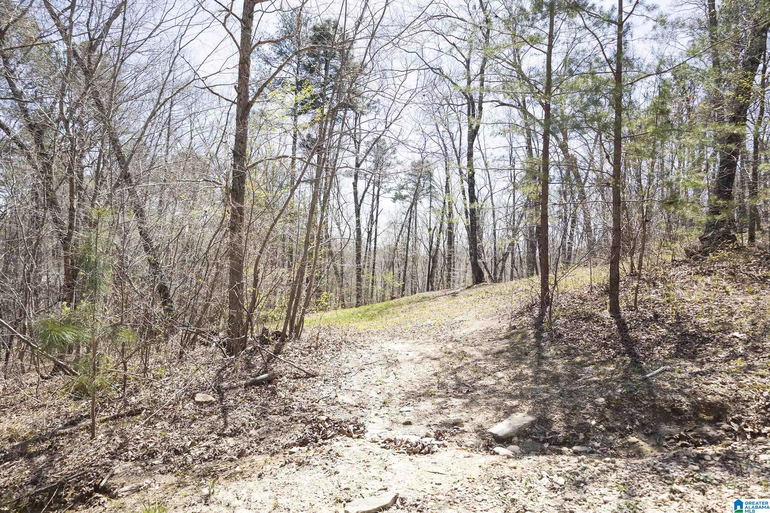 73301 Highway 49 Delta, AL 36258 - Photo 17 of 18