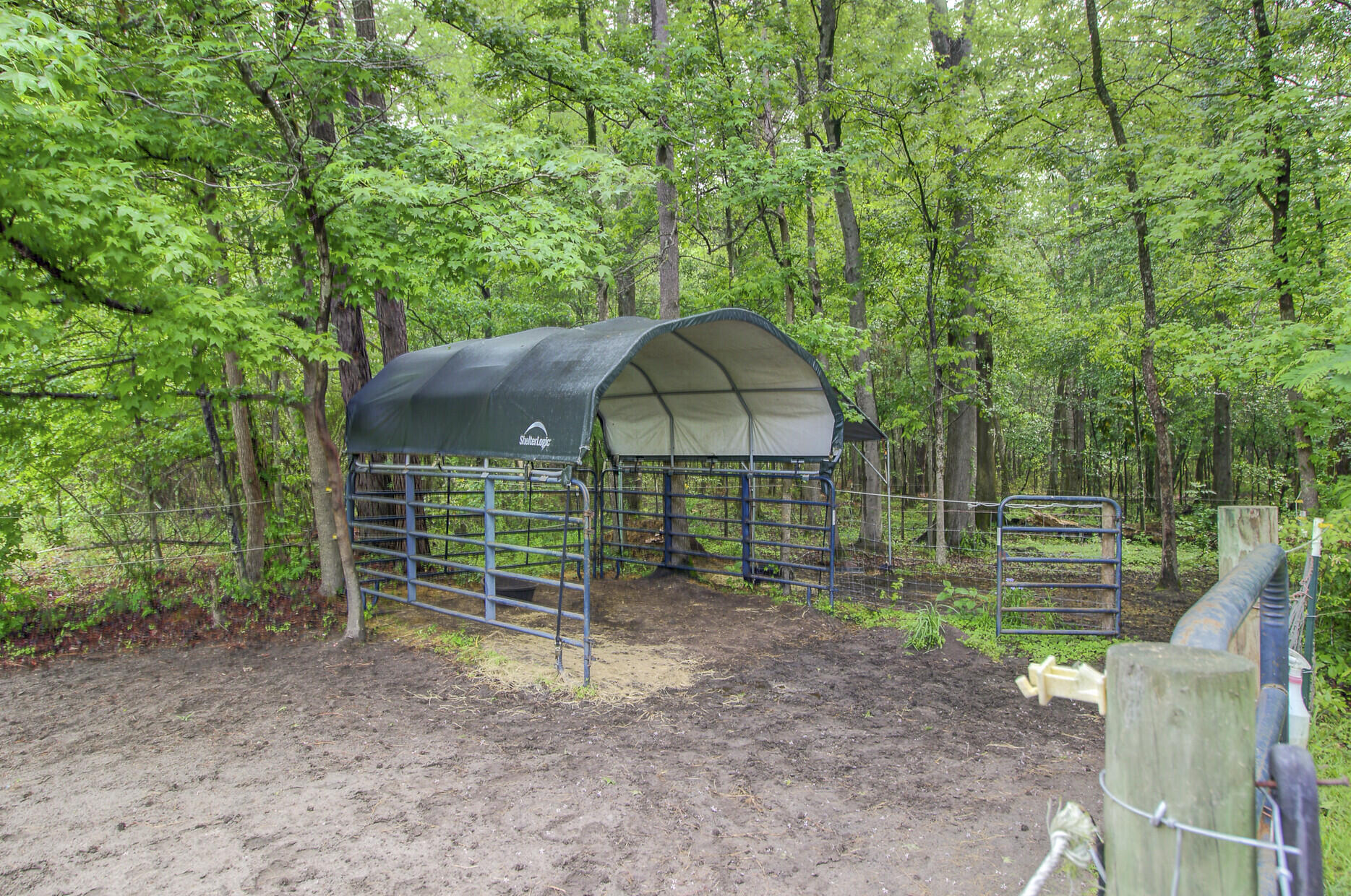 1050 Mt Zion Road St. George, SC 29477 - Photo 11 of 48 1050 Mt Zion Road