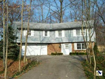 8761 Eagle Road Kirtland, OH 44094 - Photo 1 of 1 Gallery Image 1