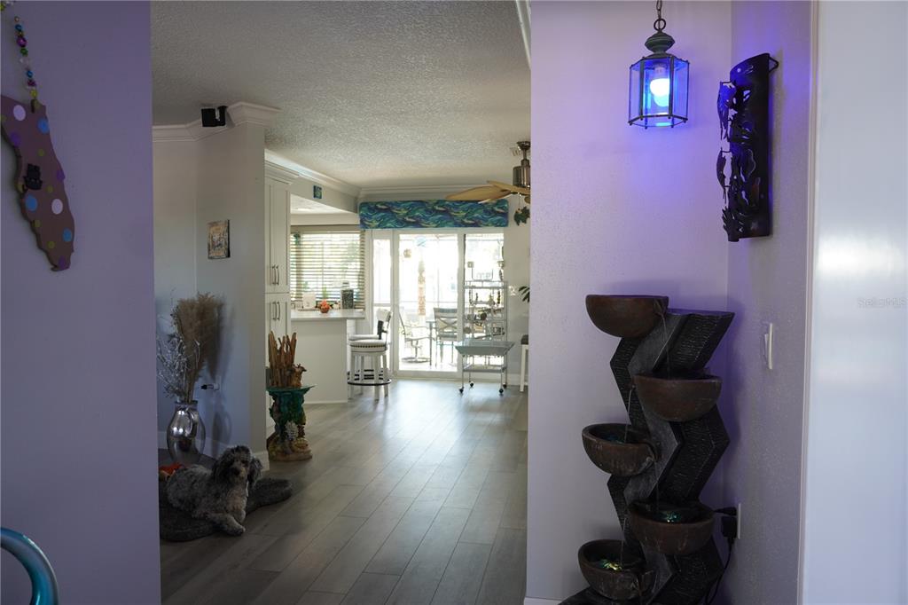 908 Sago Palm Way Apollo Beach, FL 33572 - Photo 23 of 69