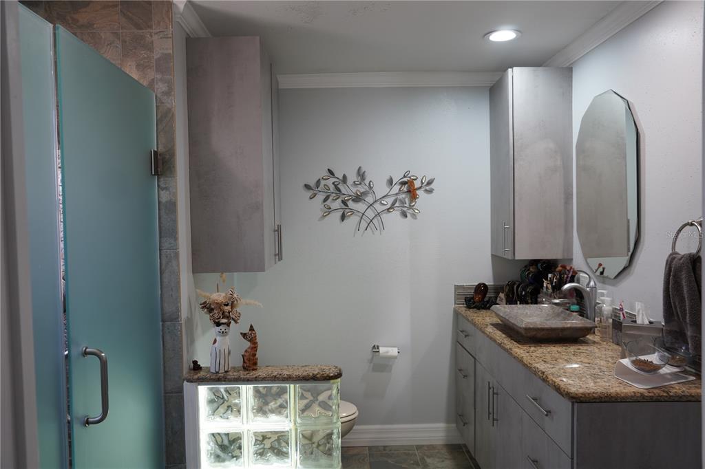 908 Sago Palm Way Apollo Beach, FL 33572 - Photo 40 of 69