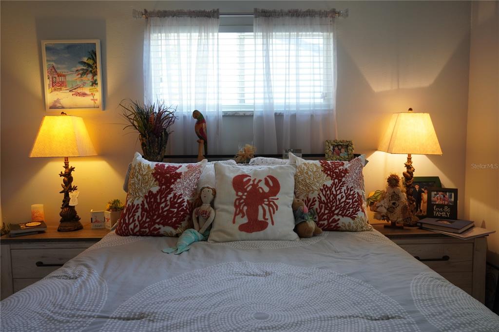 908 Sago Palm Way Apollo Beach, FL 33572 - Photo 45 of 69