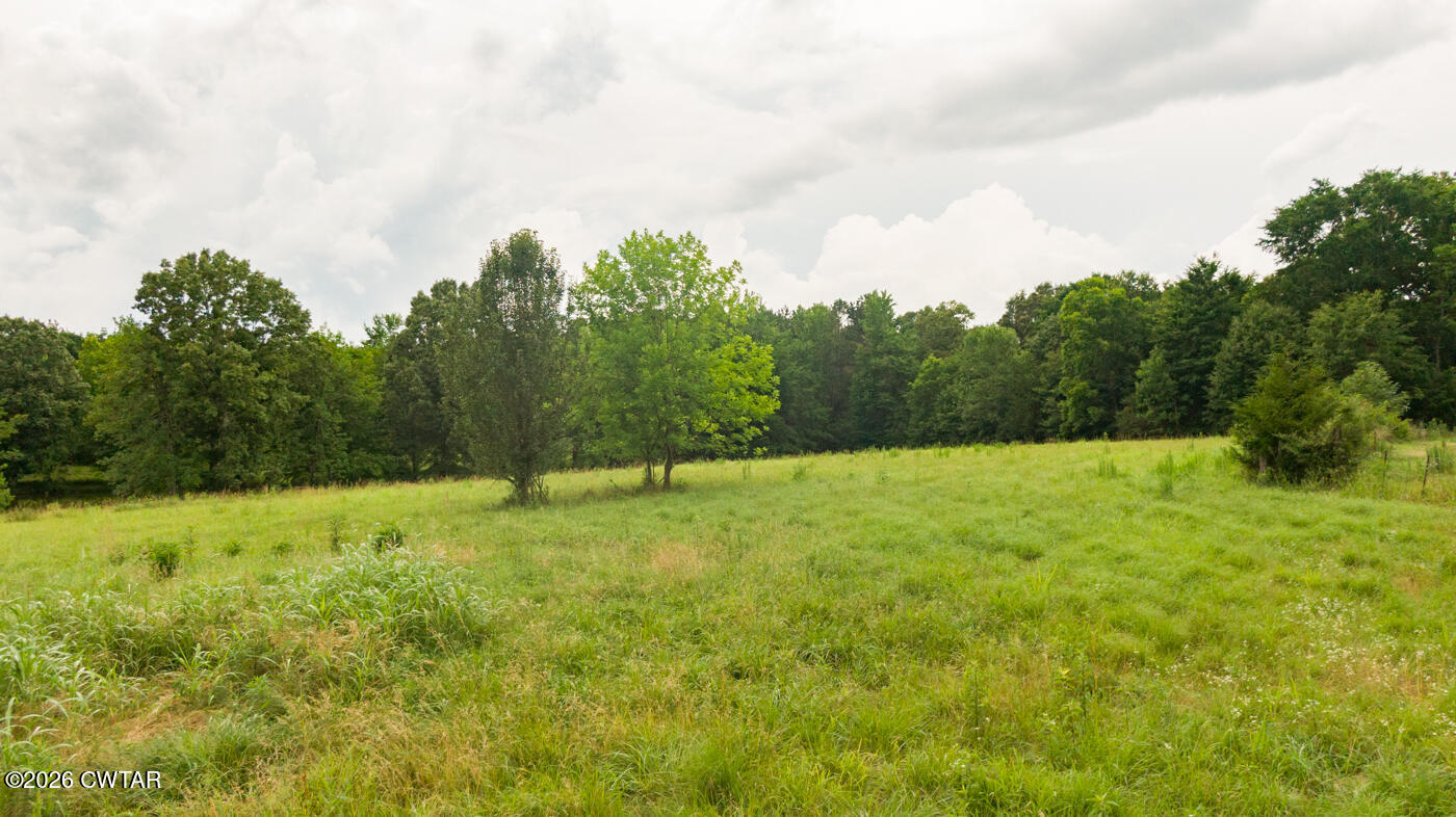 3431 Old Reagan Road Sardis, TN 38371 - Photo 7 of 25 06-13 Old Reagan Rd-17 No.11