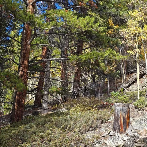 a view of yard from a city