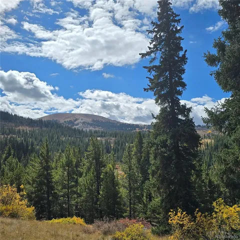 a view of a dry yard with a tree