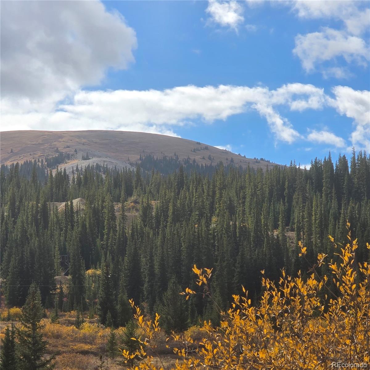 5347 Monitor Lode Claims Leadville, CO 80461 - Photo 2 of 26 a view of a yard
