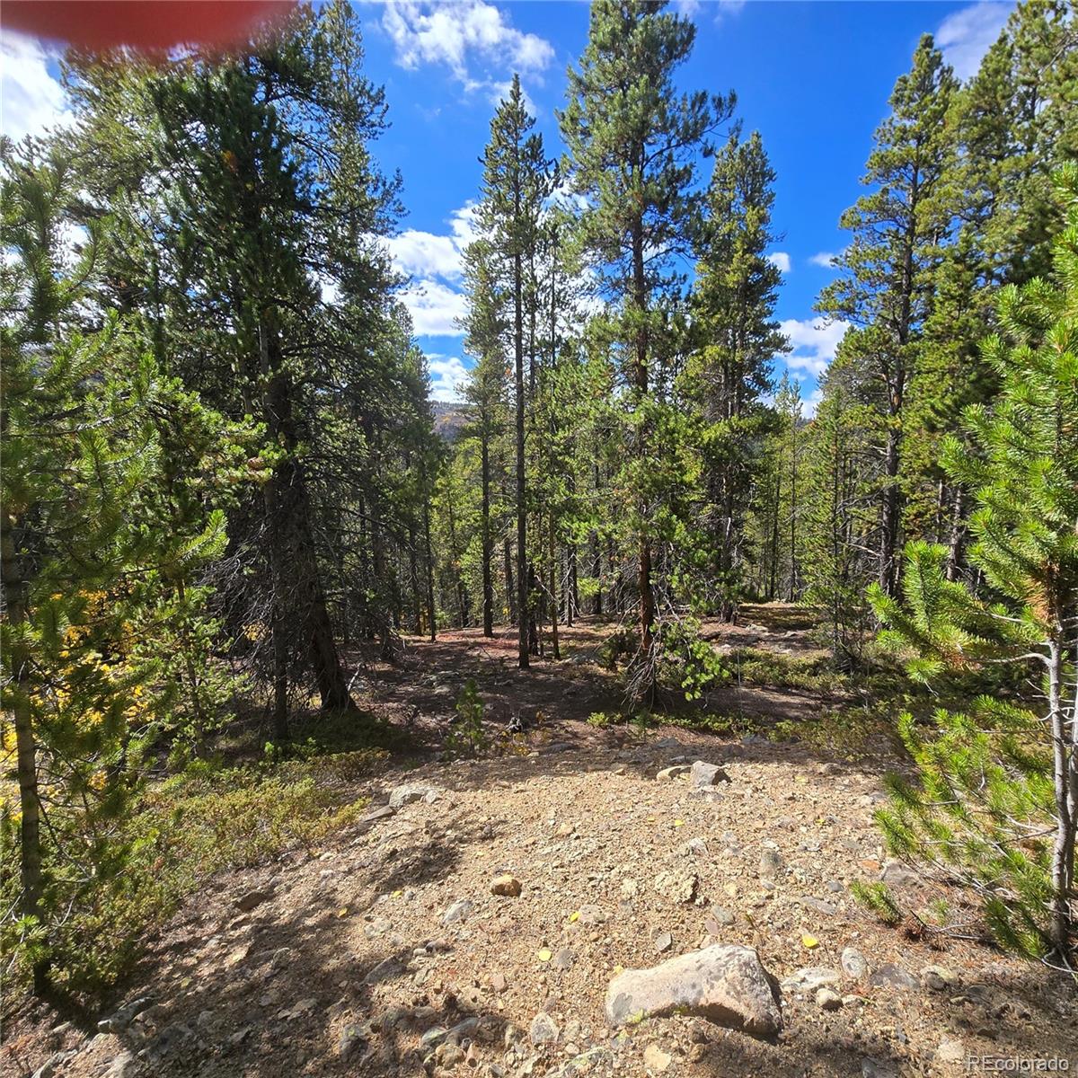 5347 Monitor Lode Claims Leadville, CO 80461 - Photo 7 of 26 a view of a yard with trees