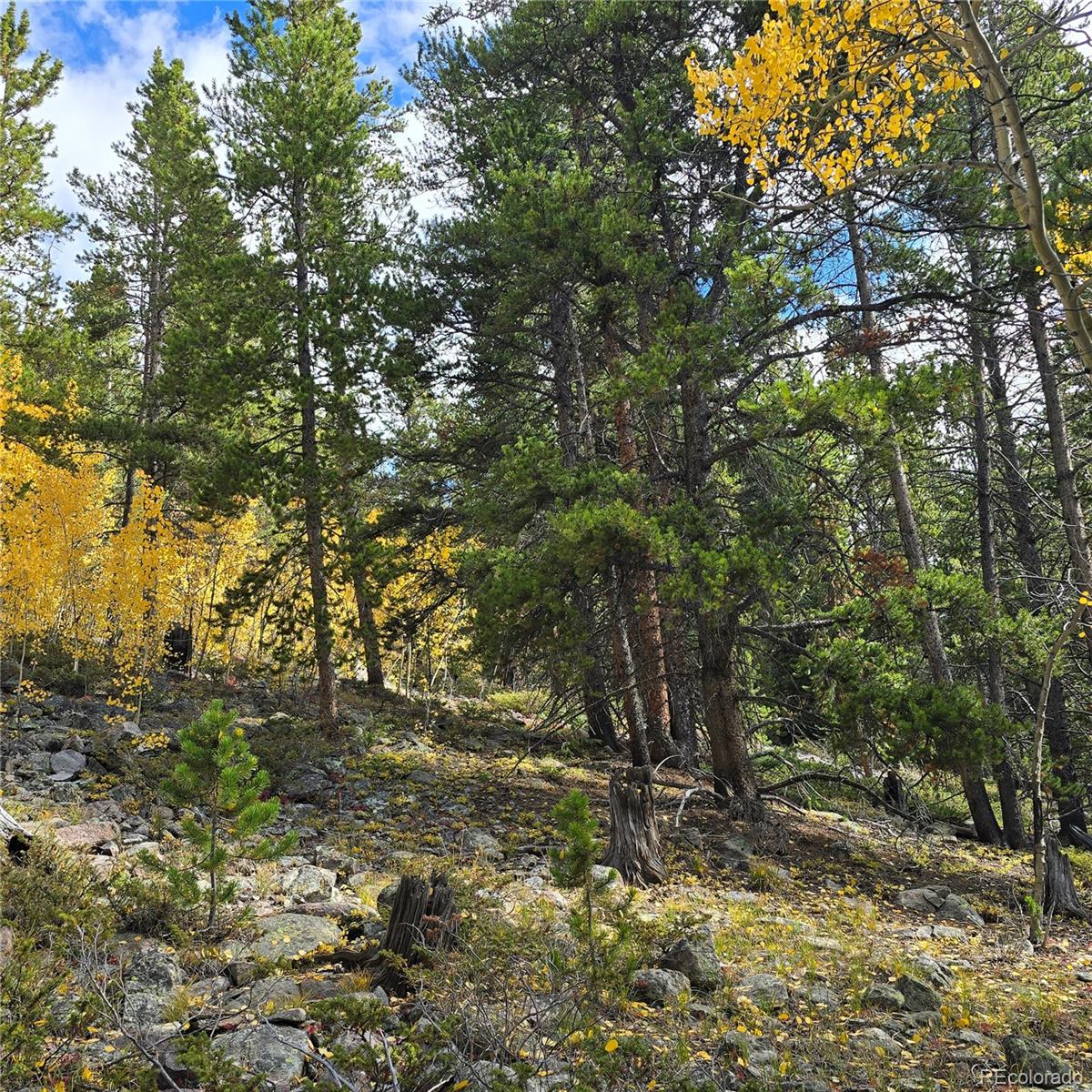 5347 Monitor Lode Claims Leadville, CO 80461 - Photo 10 of 26