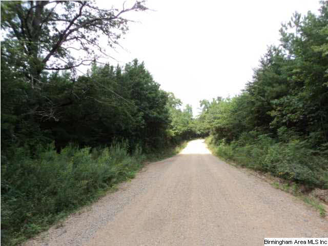 Kentuck Road, Unit 37AC Anniston, AL 36203 - Photo 1 of 7 Gallery Image 1