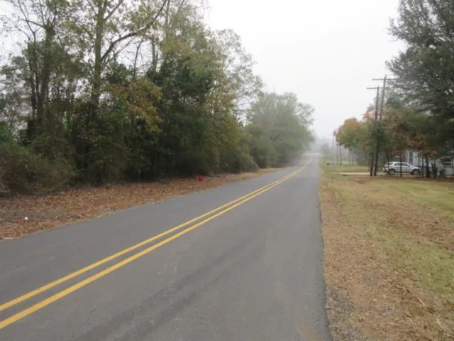a view of a big yard with large trees