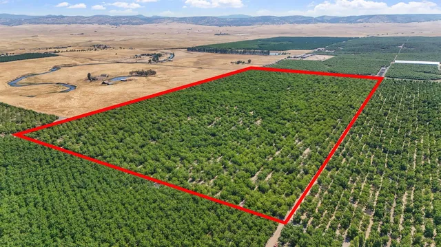 a view of an outdoor space