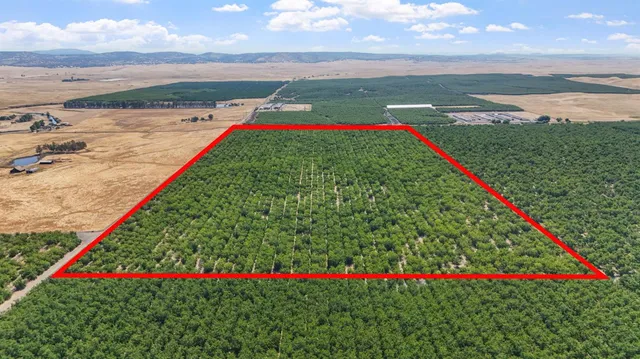 a view of a road with an ocean view