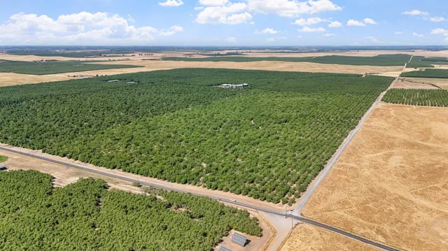 a view of a garden from a balcony