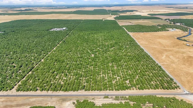 a view of an ocean and a yard
