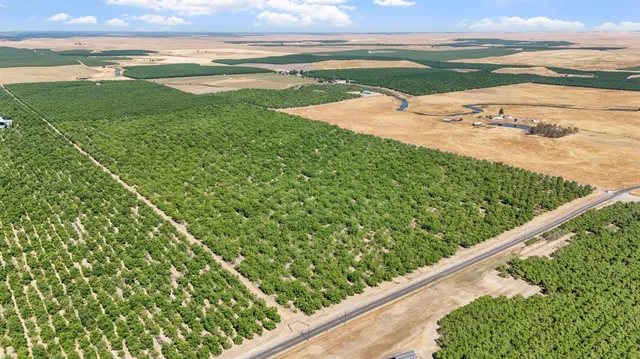 a view of an ocean and beach