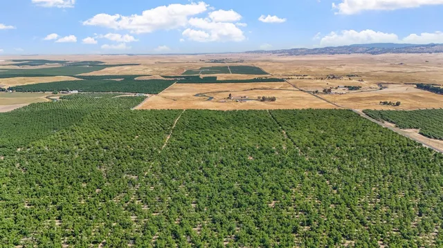 a view of a lake with a city