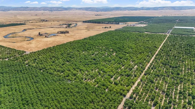 a view of a field with an ocean view